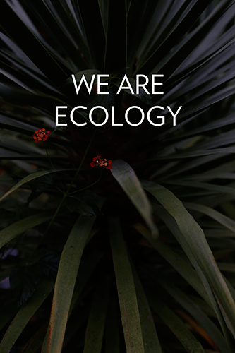 WEAREECOLOGY_2mHight-(1).gif